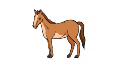 The Best Strategy to Draw A Horse | Full Guide