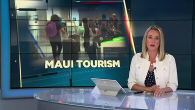 Travel Agents’ Advice: Reconsider Your Maui Travel Plans