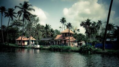 Kerala Things To Do: How To Plan Your 6 Days Trip