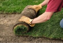 The Ultimate Guide to Sod Grass Installation